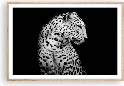 Produktbild von Gerahmtes Poster - Rahmen in heller Eiche - Leopard Panther Katze - 91,5x61 cm - Wand Bild - Wanddeko - Wandbilder - Kunstposter - Wandposter - Bilderrahmen - Bilder - Kunstdruck - P2NAA91x61-4919