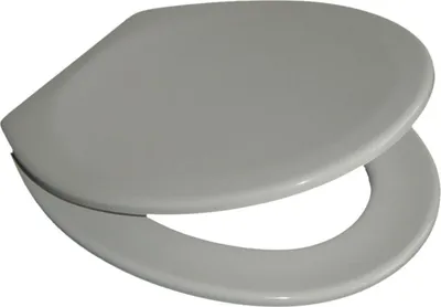 Produktbild von VCM WC Sitz Toilettendeckel Klodeckel Toilettensitz Klo Deckel Brille Klobrille Limone Verstellbare Edelstahlscharniere Grau