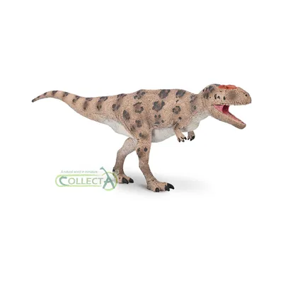 Immagine prodotto di Collecta 80049 Meraxes, teropode, 25 cm, dinosauro