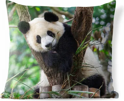 Produktbild von MuchoWow® Outdoor Kissen - Panda - Tiere - Dschungel - Natur - 50x50 cm - Wetterfest - Lounge Kissen - Komfortabel - Kissen mit Bild