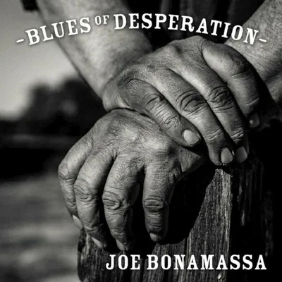 Immagine prodotto di Blues della disperazione, 2 Schallplatte