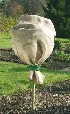 Produktbild von Jute-Schutzsack Natur (60 x 80 cm) | Winterschutz von Gardissimo