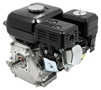 Image de Moteur à essence, puissant (7,5 ch), polyvalent pour divers appareils, noir