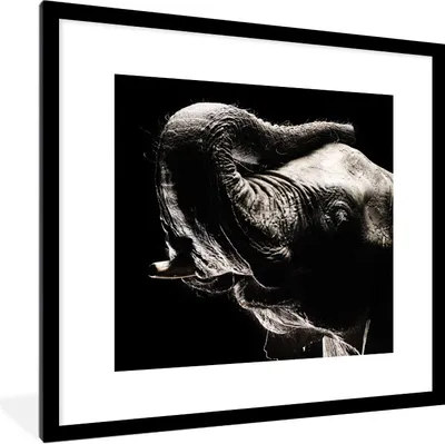 Produktbild von MuchoWow® Gerahmtes Poster Elefant in Schwarz und Weiß 40x40 cm - Poster mit Schwarzem Bilderrahmen Wandposter Rahmen Foto Bilder - Poster - Plakat im Rahmen