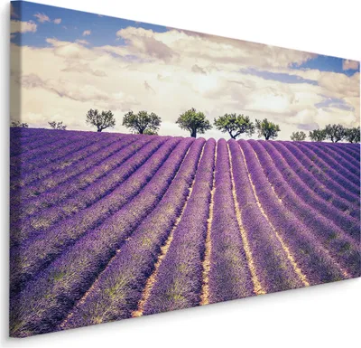 Produktbild von Fabelhafte Canvas LEINWAND BILDER 70x50 cm XXL Kunstdruck Natur Blumen Lavendel Feld