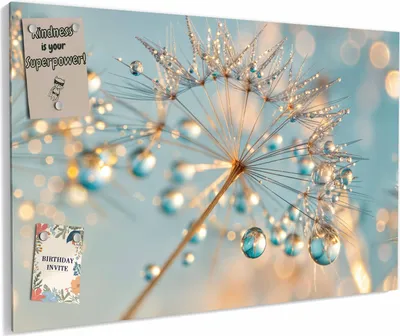 Produktbild von Magnettafel 90x60cm magnetisch & beschreibbar Metall-Board - Pusteblume Wassertropfen
