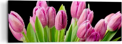 Produktbild von Bild auf Leinwand - Leinwandbild - Tulpen Blumenstrauß Tau Tropfen - 120x40cm - Wand Bild - Wanddeko - Leinwanddruck - Bilder - Kunstdruck - Leinwand bilder - Wandkunst - CA120x40-2486