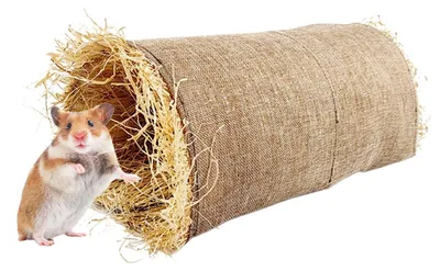 Productafbeelding van Natuurlijk Konijnenhuis met Tunnel voor Huisdieren