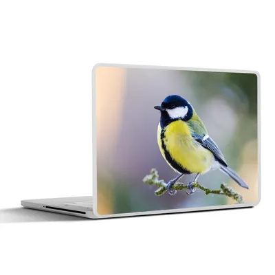 Produktbild von MuchoWow® Laptop Aufkleber Sticker Cover Kohlmeise - Vogel - Zweig 25x18 cm - Laptop-Deko