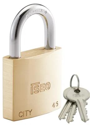 Image de Cadenas city 45 mm S/NKCF005503 - ISEO CAVERS - 02052202V03