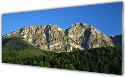Produktbild von Glasbilder 125x50 Wandbild Druck auf Glas Gebirge Wald Natur