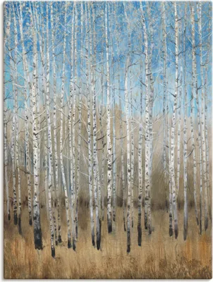Produktbild von ARTland Leinwandbild Staubige blaue Birken II Größe: 90x120 cm