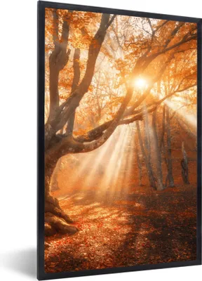 Produktbild von MuchoWow® Gerahmtes Poster Baum - Natur - Herbst 60x90 cm - Poster mit Schwarzem Bilderrahmen Wandposter Rahmen Foto Bilder - Kunst