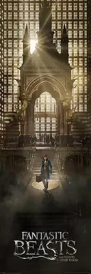 Produktbild von Fantastic Beasts - Türposter, "Newt Scamander" CD2022 (Einheitsgröße) (Bunt)