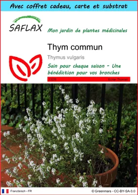 Image de SAFLAX Ensemble-cadeau - Thym commun - 200 graines - Thymus