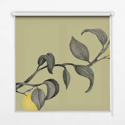 Produktbild von Seitenzug-Rollo Fensterrollo Jalousie - Thermo-Rollo Verdunkelungsrollo - 100x180 cm - Zitronen auf einem Baum