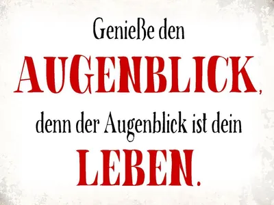 Produktbild von vianmo Holzschild 30x40 cm genieße den Augenblick Leben