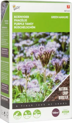 Produktbild von Gründünger Phacelia tanacetifolia (100 g) | Gründünger von Buzzy Seeds