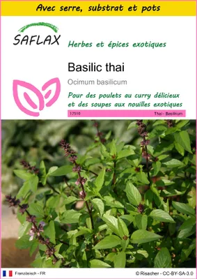 Image de SAFLAX Ensemble de culture - Basilic thai - 200 graines - Ocimum