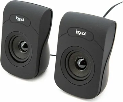 Immagine prodotto di Altoparlante per computer portatile IGG316993