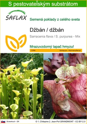 Obrázok produktu pre SAFLAX - džbán / džbán - Sarracenia flava / S. purpurea - Mix - 10 Semená - S pestovateľským substrátom bez klíčkov
