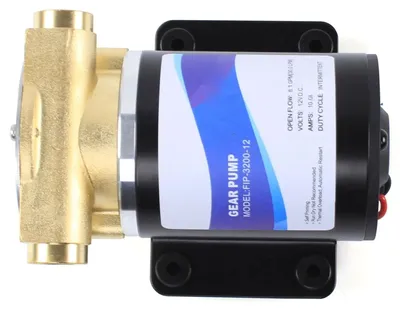 Imagen del producto de Bomba de achique eléctrica, autoadosante, 12V, capacidad de 30 litros por minuto, color