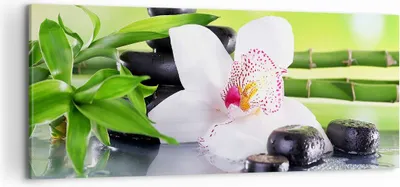 Produktbild von Bild auf Leinwand - Leinwandbild - blume orchidee - 100x40cm - Wand Bild - Wanddeko - Wandbilder - Leinwanddruck - Bilder - Kunstdruck - Wanddekoration - Leinwand bilder - Wandkunst - AB100x40-3659