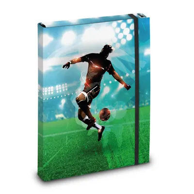 Produktbild von itenga Heftbox Motiv Fussball DIN A4 Innen-Rückenbreite: 30 mm