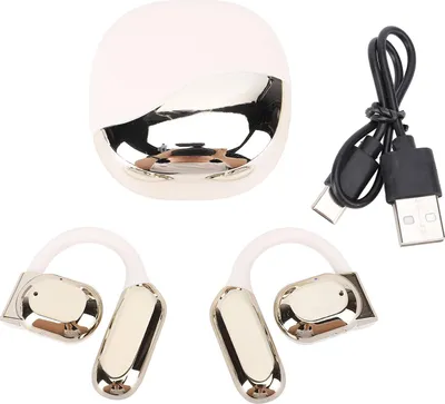 Image de Ecouteurs de traduction Earhook Active Réduction du bruit sans fil Bluetooth AI Traducteur vocal Brown