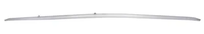 Image de Duotone Bladder Leading Edge Rebel 12 - Taille unique