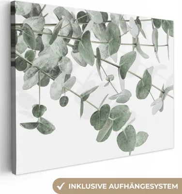 Obrázok produktu pre MuchoWow® - Plátno - Eukalyptus - Listy - Príroda - Zelená, nástenná maľba, nástenné dekorácie obrazy obývacia izba, 80x60cm