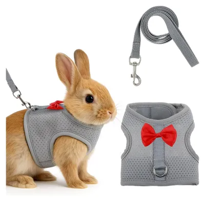 Produktbild von Kaninchenleine mit Geschirr und Schleife, weiche Leine für Kaninchen, Zubehör für kleine Tiere