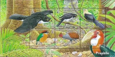 Produktbild von Briefmarken Salomoninseln 2005 Mi Block92 (kompl.Ausg.) postfrisch Einheimische Vögel