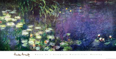 Obrázek produktu pro Claude Monet Art Print Obraz - Lekníny, Ráno (76 x 152 cm)