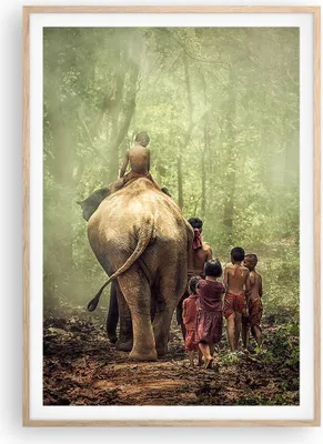 Produktbild von Gerahmtes Poster - Rahmen in heller Eiche - Elefant Dschungel Nebel - 70x100 cm - Wand Bild - Wanddeko - Wandbilder - Wandposter - Bilderrahmen - Bilder - Kunstdruck - Wandbild - P2NPA70x100-3438