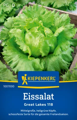 Produktbild von Kiepenkerl Eissalatsamen Great Lakes 118 Lactuca sativa 300 Pflanzen