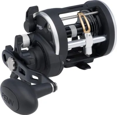 Produktbild von Penn Rival 20 Level Wind Reel - Rechtshand Multirolle