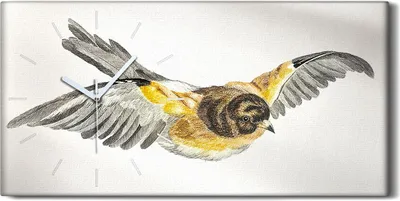 Produktbild von Wandkunst Leinwand Bild Uhr Geräuschlos 60x30 Zeichnung Tier Vogel Kunst - weiße Hände