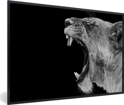 Produktbild von MuchoWow® Gerahmtes Poster Tiere - Löwe - Schwarz - Weiß - Porträt 30x20 cm - Poster mit Schwarzem Bilderrahmen Wandposter Rahmen Foto Bilder - Kunstdruck - Bild-Poster