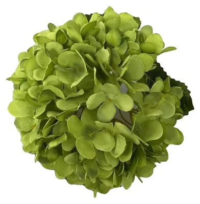 Imagen del producto de Ramo de hortensias, diseño elegante, versátil para eventos, color verde