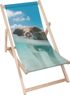 Produktbild von Dreamroots Liegestuhl klappbar Holz, Buchenholz bis zu 130 kg, Sonnenliege klappbar mit 3-stufiger Neigungsregulierung der Rückenlehne, Pig Chillout