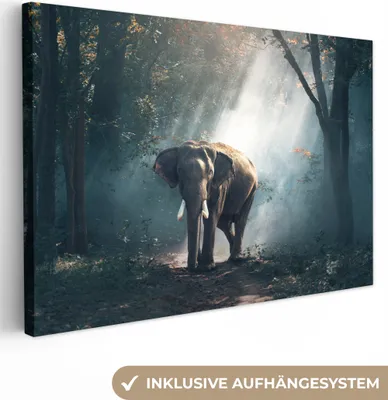 Produktbild von OneMillionCanvasses® - Leinwandbilder - 150x100 cm, Elefant - Wald - Sonne, Wandbilder Kunstdruck Wanddekoration