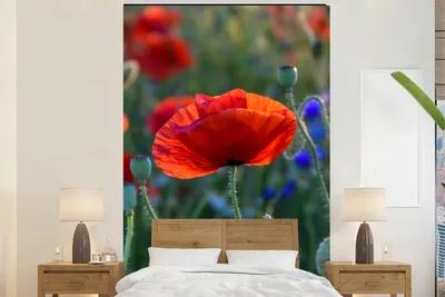 Produktbild von MuchoWow® Fototapete für Wohnzimmer oder Schlafzimmer Wandtapete Vinyl Motivtapete Bunte Mohnblumen in den Niederlanden - 225x350 cm - Schlafzimmer tapete