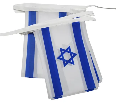 Israel Wimpelkette 12 m, 20 Flaggen, Polyester, 45x30 cm