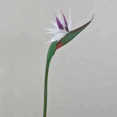 Produktbild von artplants.de Kunst PapageienblumeCHAYA, weiß-violett, 85cm - Paradiesvogelblume künstlich