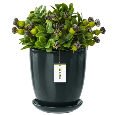 Produktbild von Blumentopf Blumenübertopf Graphit Blumenschale mit Untersetzer Rund Glanz Keramik Modern Glamour H=16,5cm