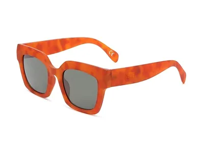 Zdjęcie produktu dla Okulary przeciwsłoneczne Vans Belden Brown Tortoise