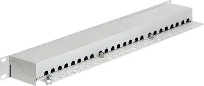 Produktbild von DELOCK 19" Patchpanel 24-Port Cat6 geschirmt grau