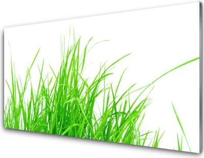 Produktbild von Acrylglasbilder 100x50 Wandbild Druck Gras Pflanzen
