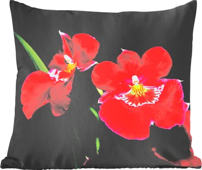 Produktbild von MuchoWow® Zierkissen Sofakissen Wohnzimmer Dekokissen 50x50 cm Rote Orchideen vor schwarzem Hintergrund - Komfort - Sofakissen